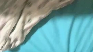 美丽的拉丁裔继妹被抓住了