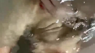 《稀缺?资源重磅?分享》第一视角裹出你的精液~射出你的营养~各种高颜露脸反差婊